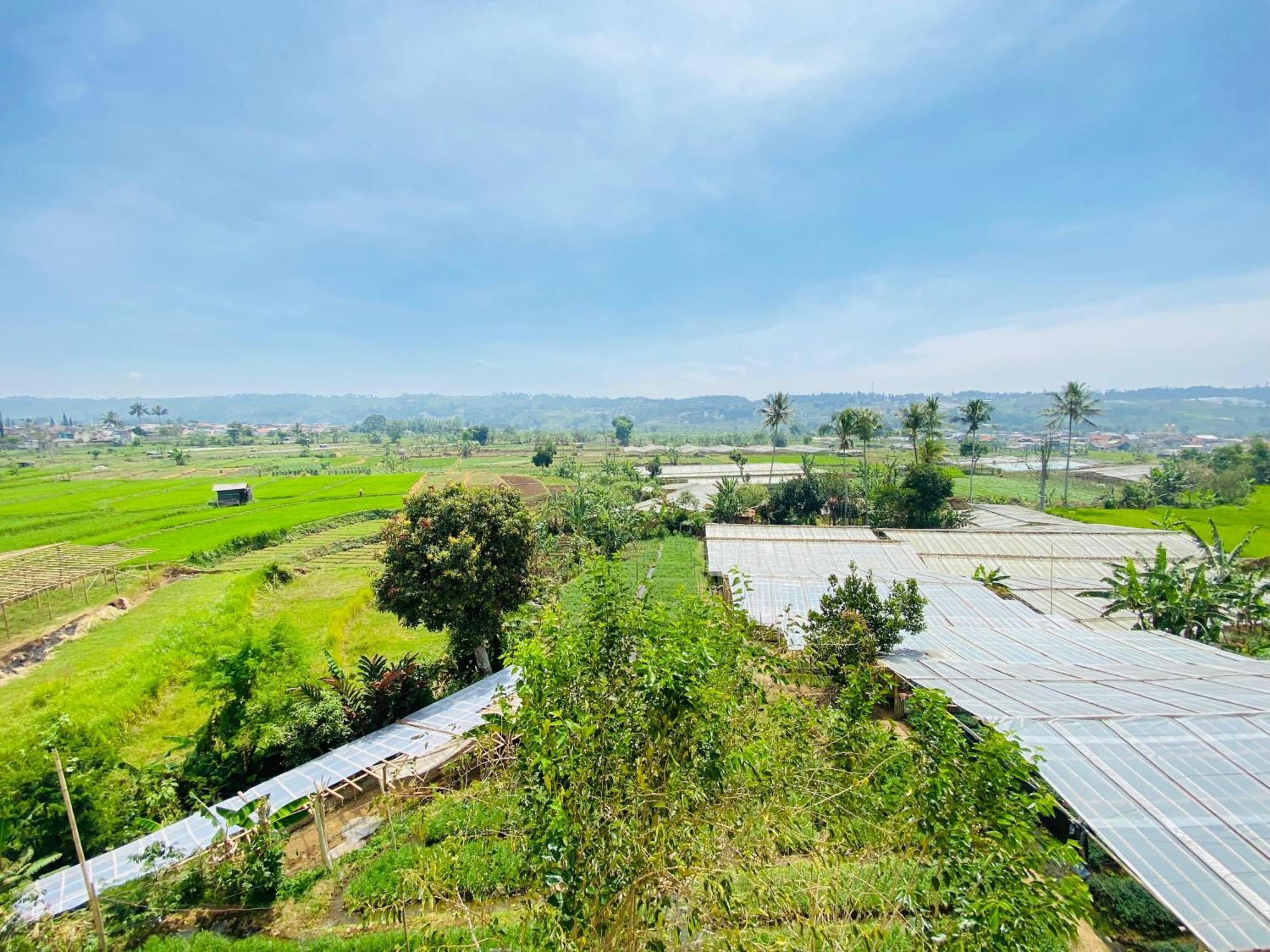 Villa Imperial Diamond Cibadak  Ngoại thất bức ảnh